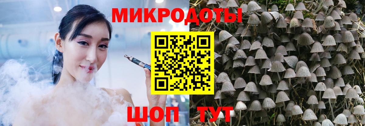 Псилоцибиновые грибы MAGIC MUSHROOMS Сухой Лог