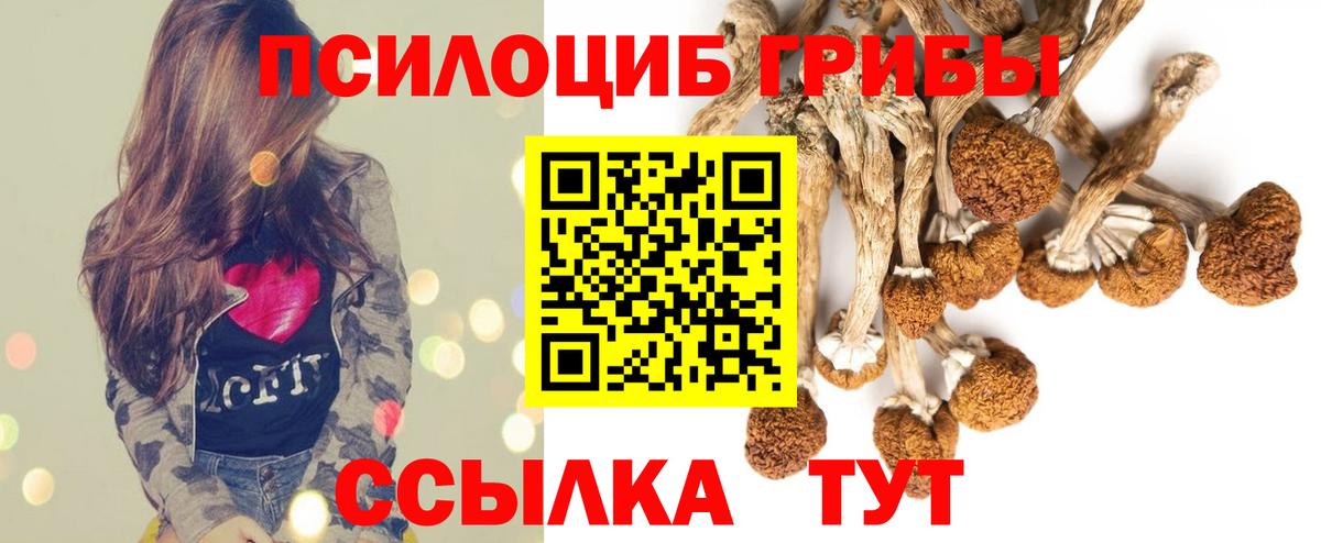 как найти наркотики  Галлюциногенные грибы ЛСД  Вход с VPN  Сухой Лог 
